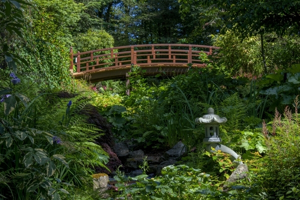 Bridge at HCP
