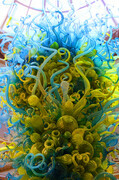 Chihuly Colour
